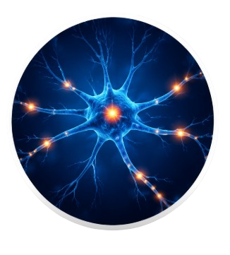Nerve Health
