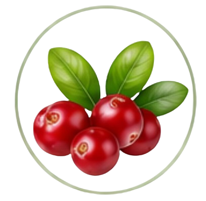 Cranberry Extract